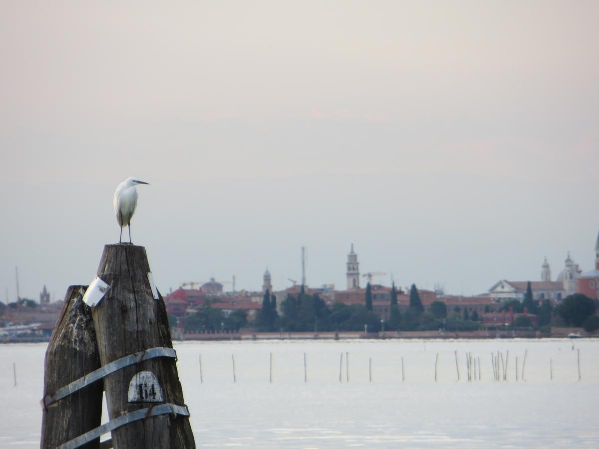 Villa Elisabetta Lido di Venezia Exterior foto
