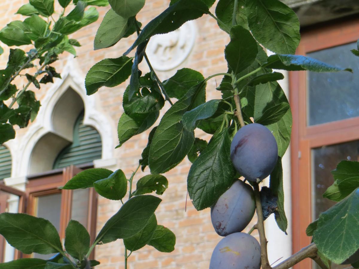 Villa Elisabetta Lido di Venezia Exterior foto